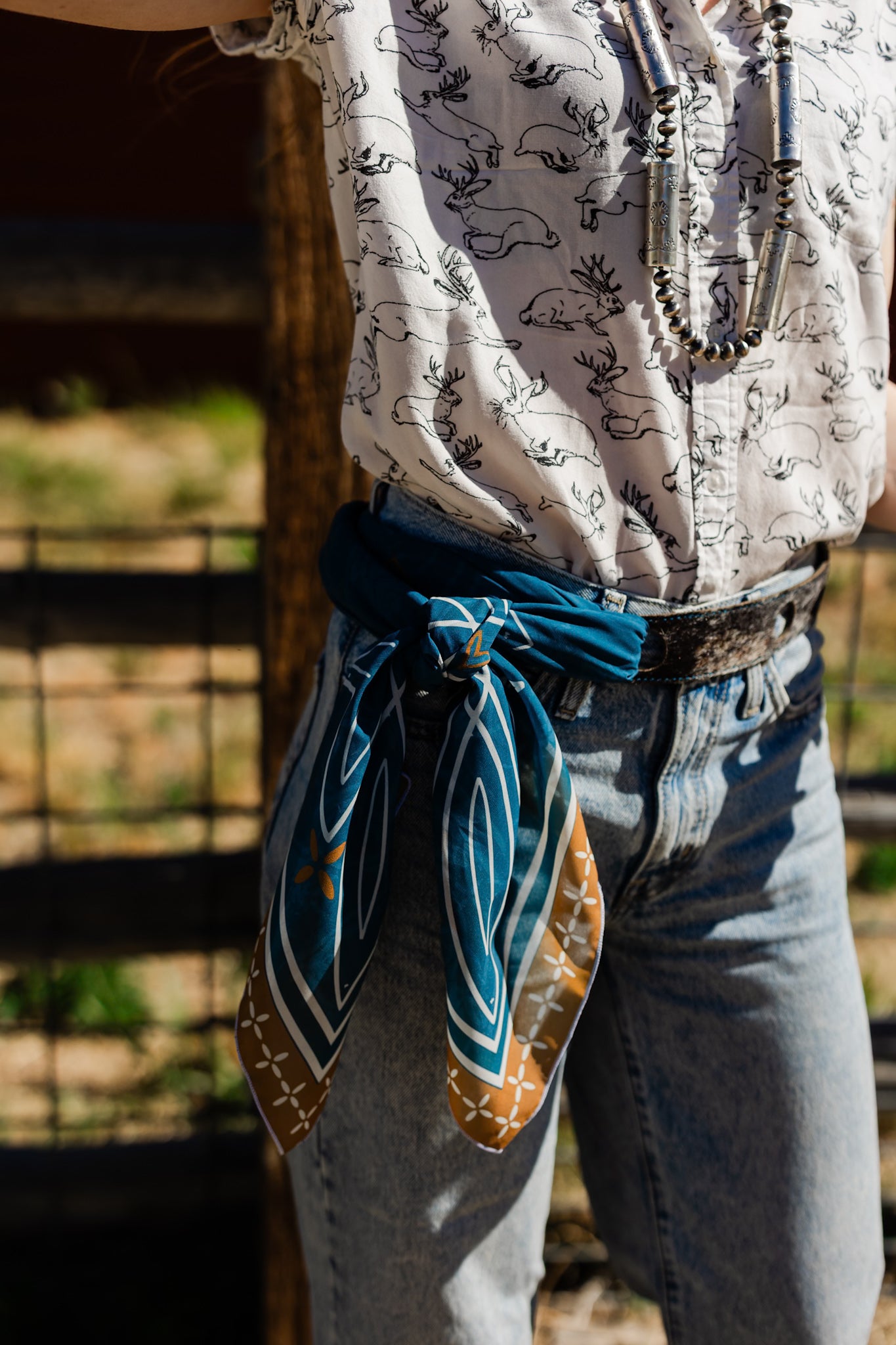 Vintage Cowgirl Collection | Jewelry | Scarf Belt