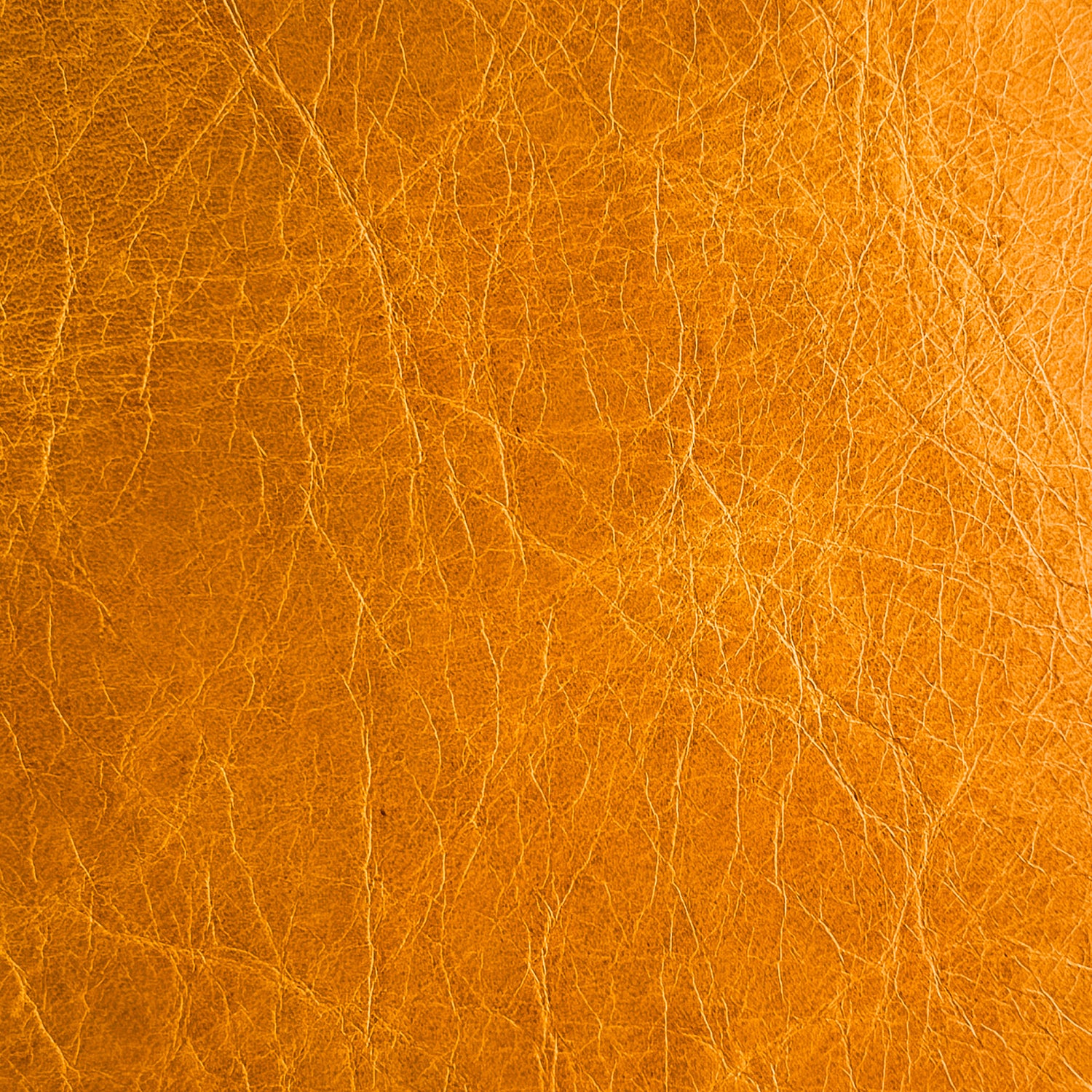 CUSTOM LEATHER SAMPLES