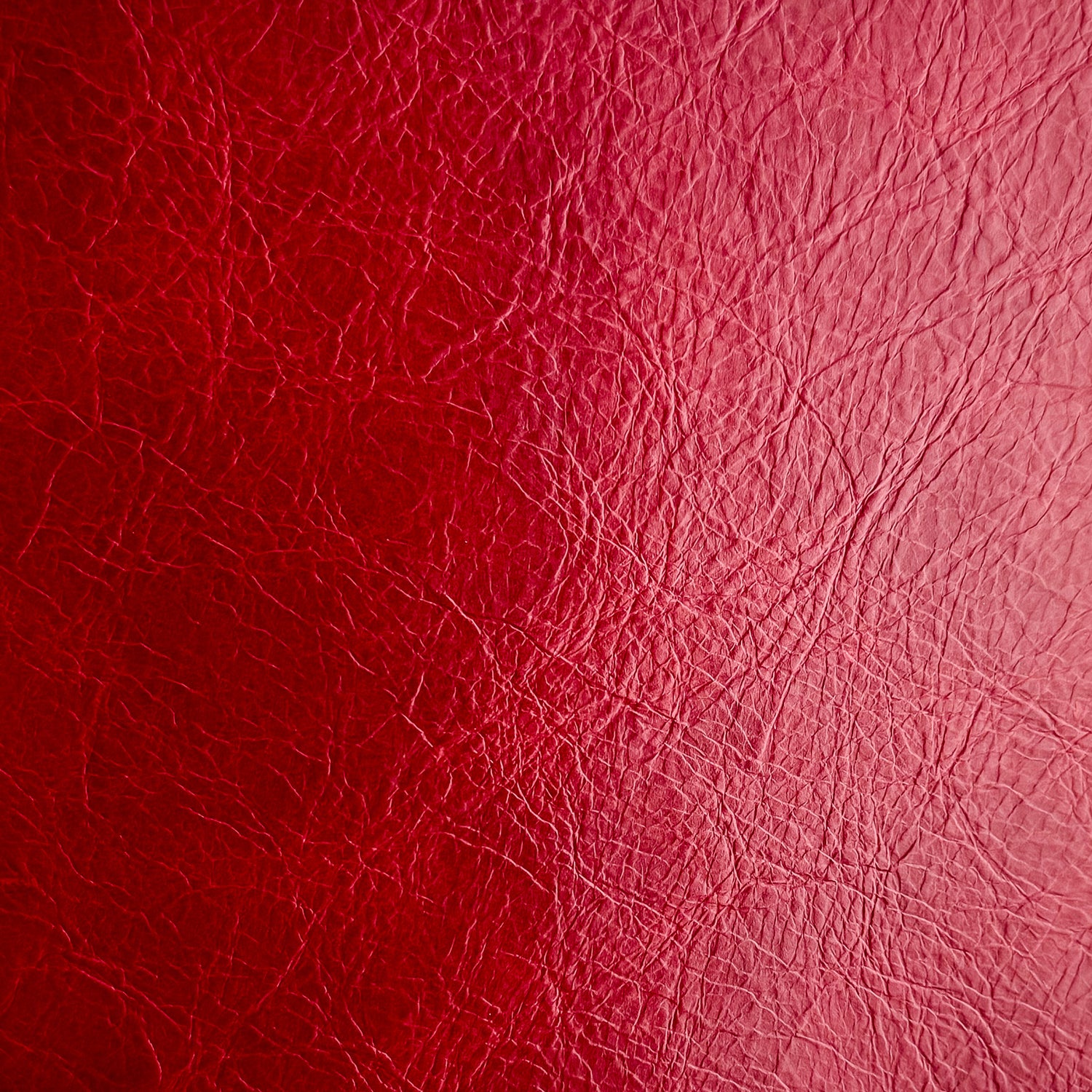 CUSTOM LEATHER SAMPLES