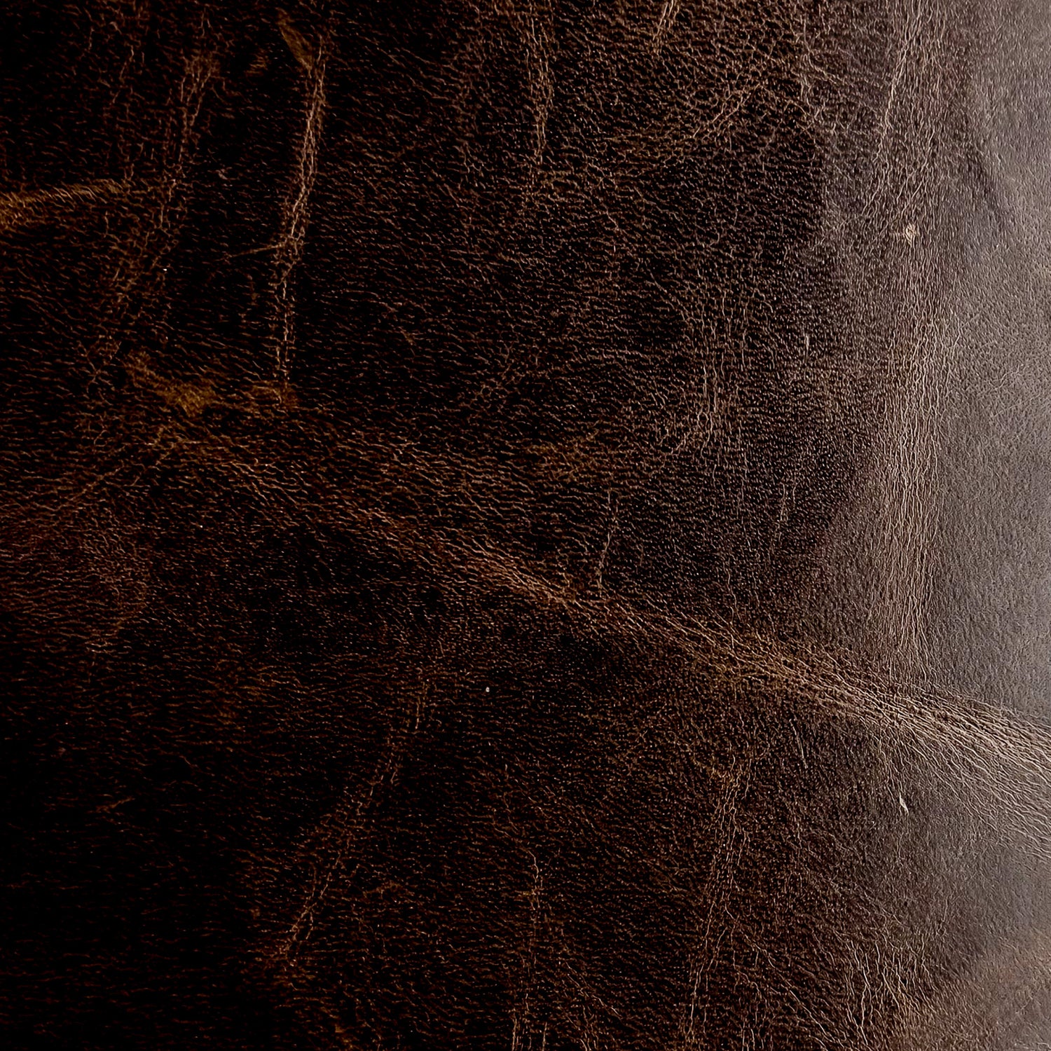 CUSTOM LEATHER SAMPLES