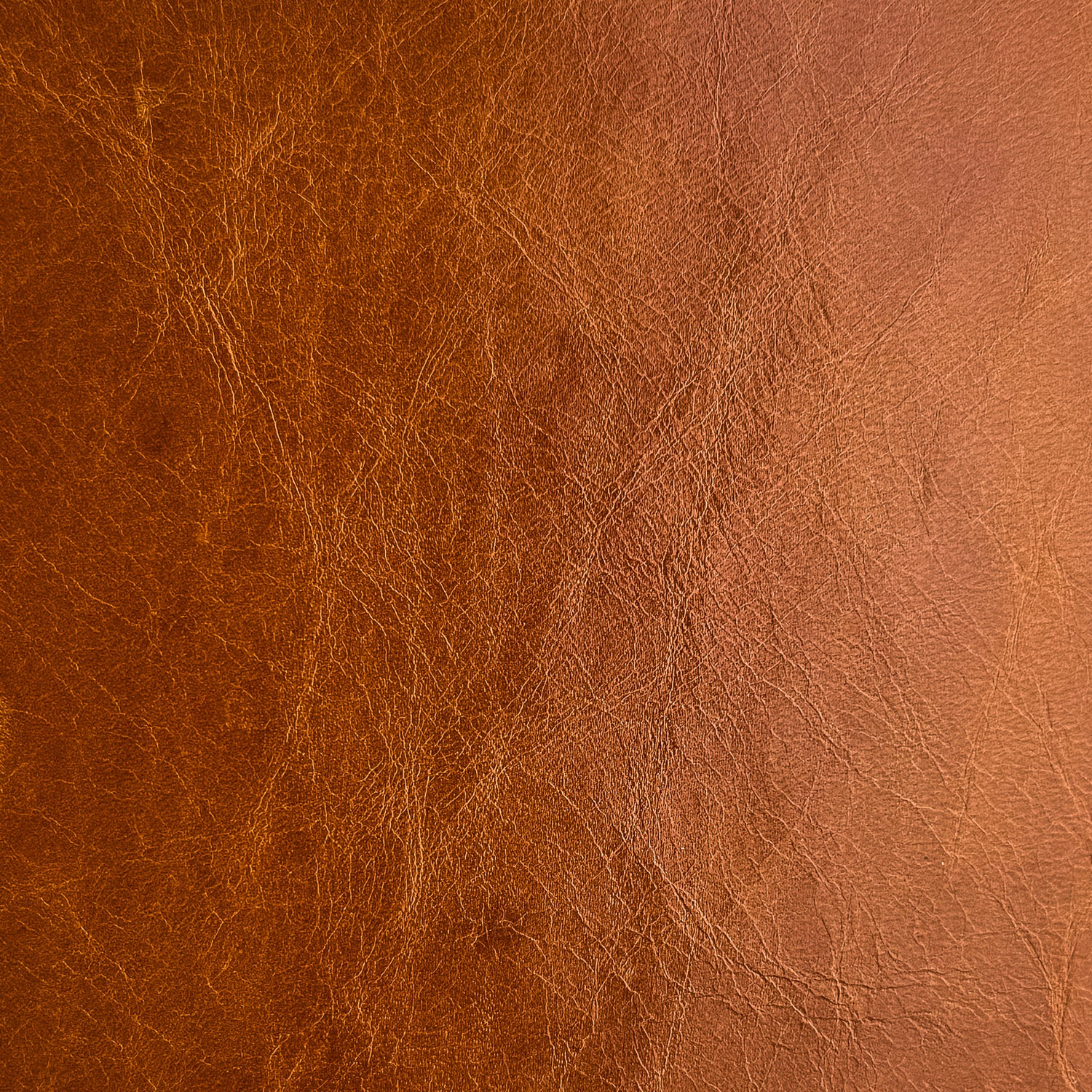 CUSTOM LEATHER SAMPLES