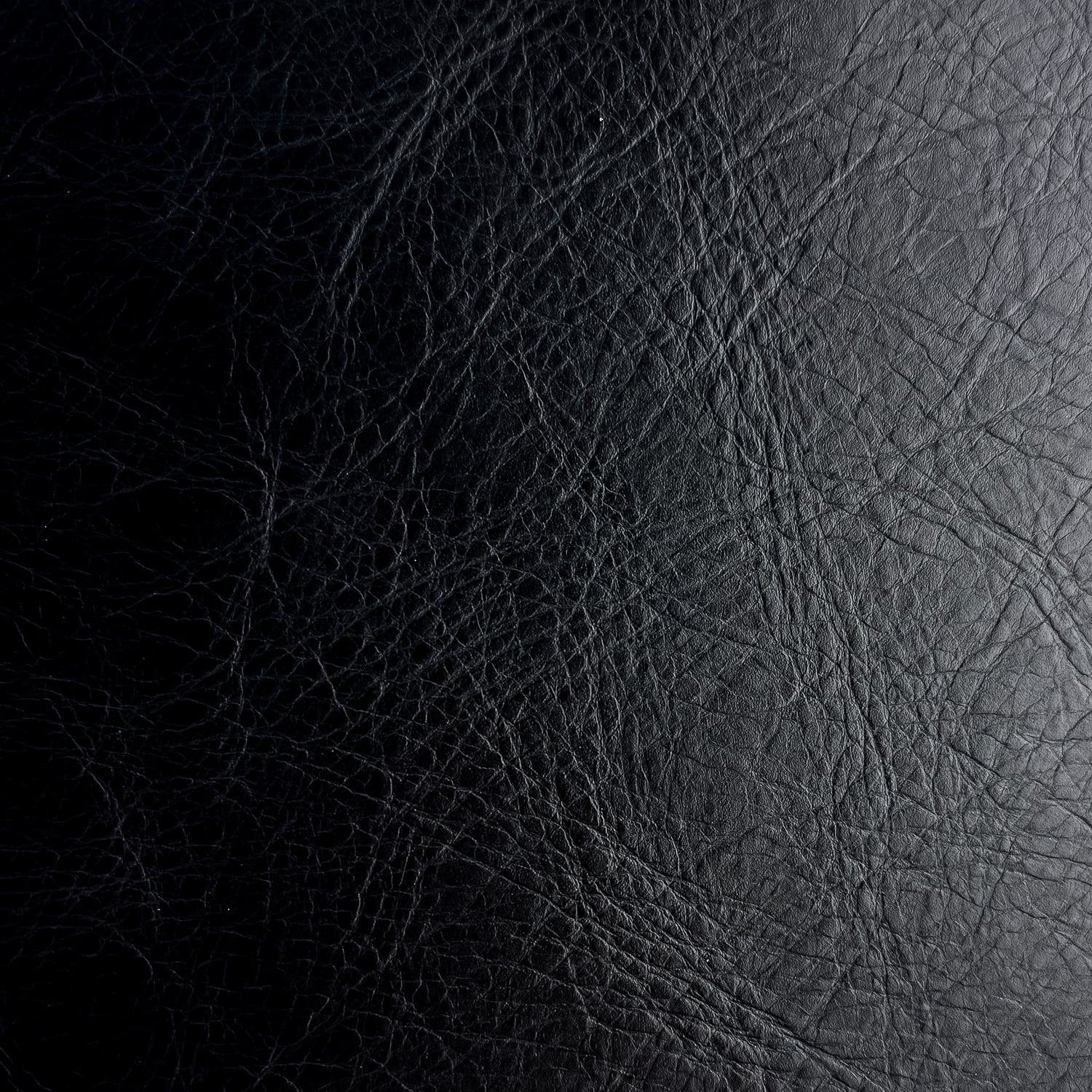 CUSTOM LEATHER SAMPLES