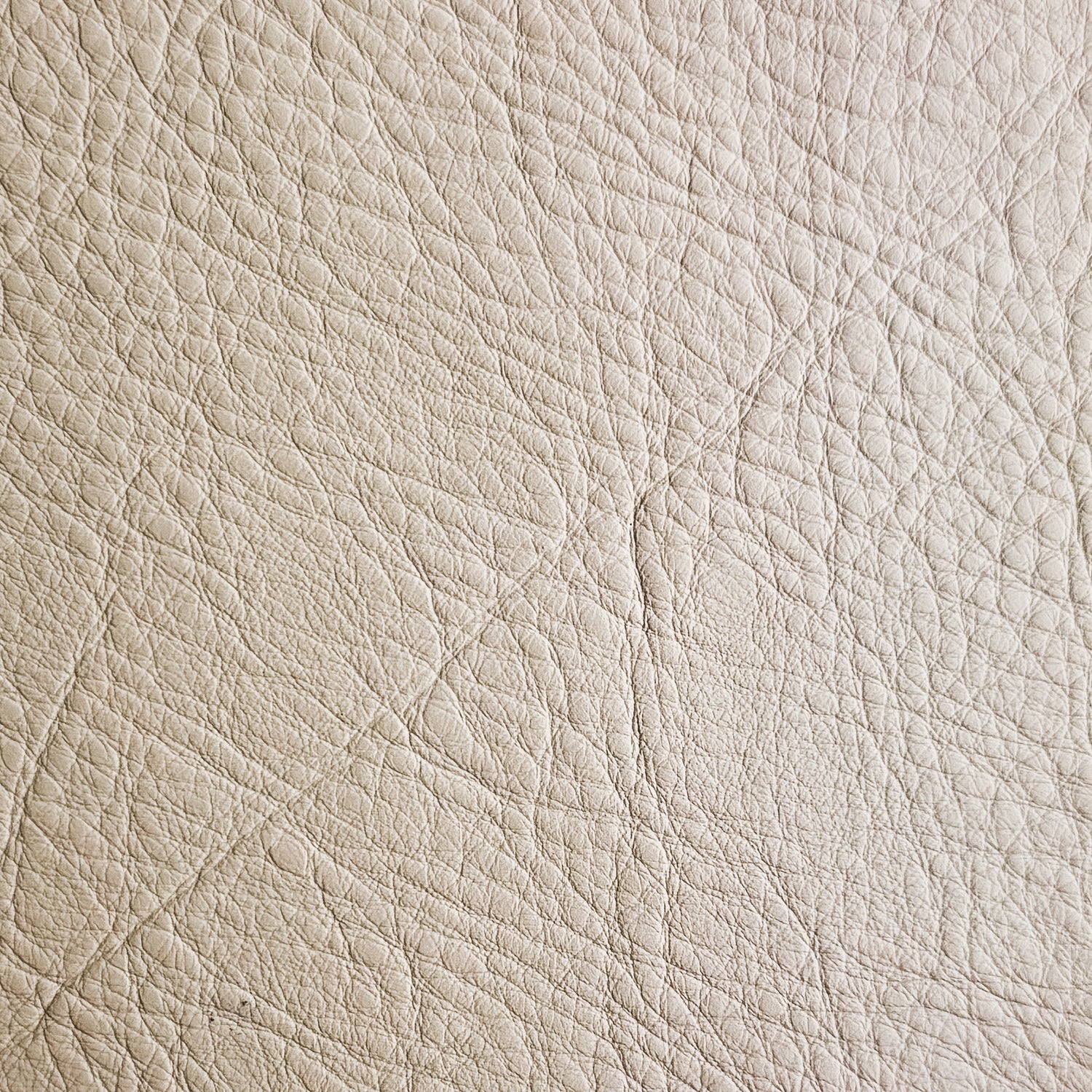 CUSTOM LEATHER SAMPLES