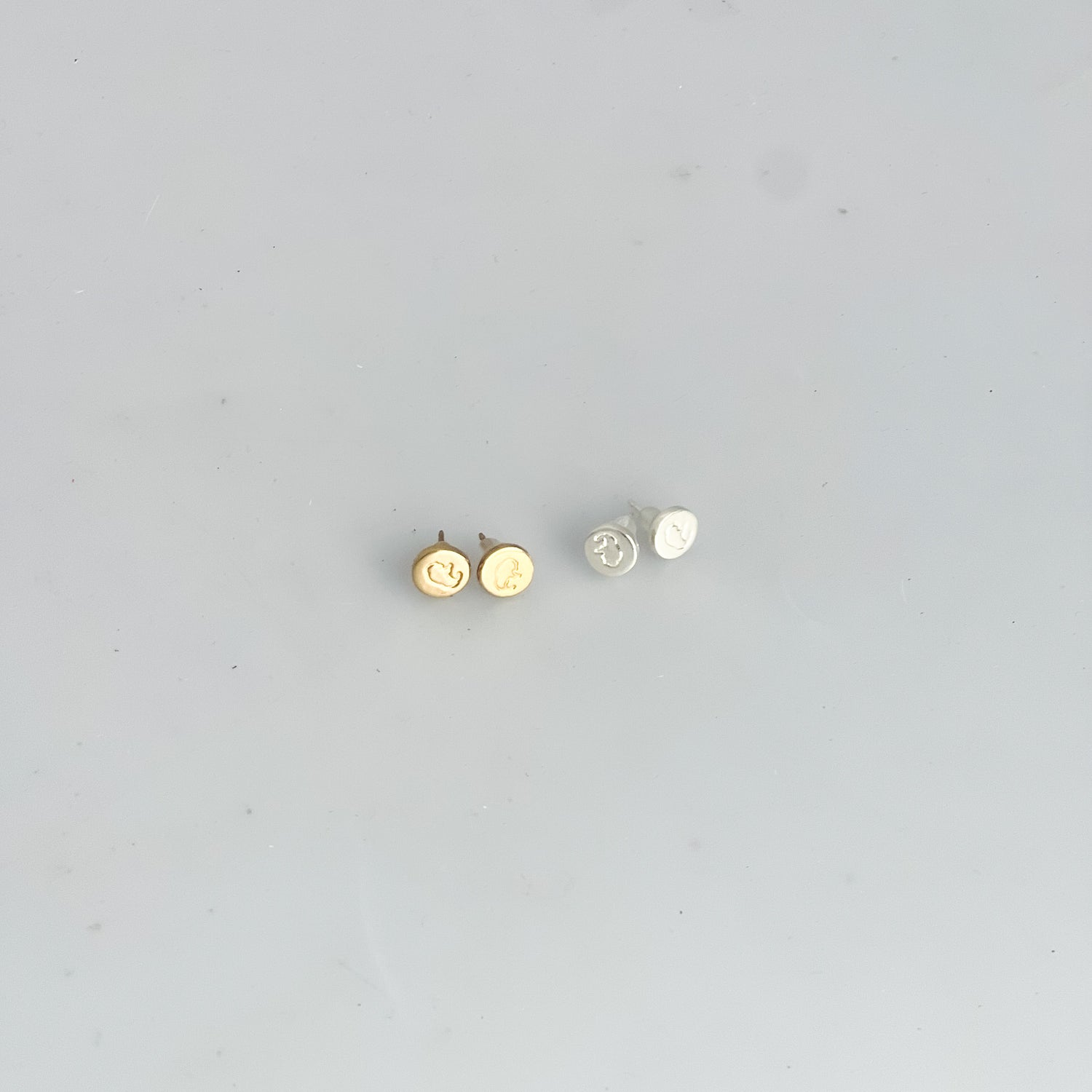 Jewelry | Bison Post Earrings
