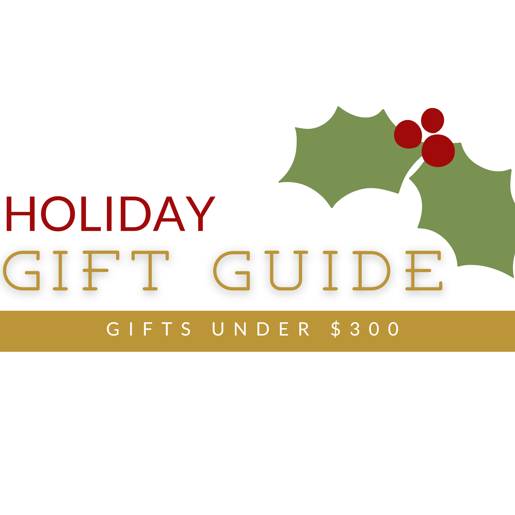 Gifts under $300