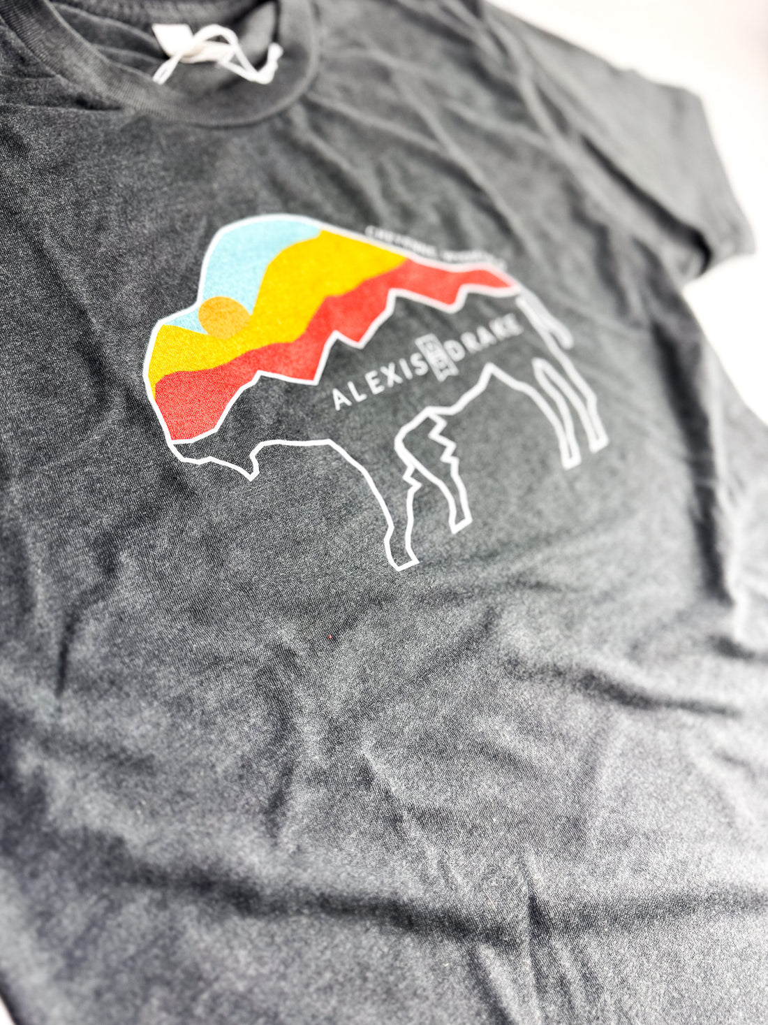 Classic Tee | Bison