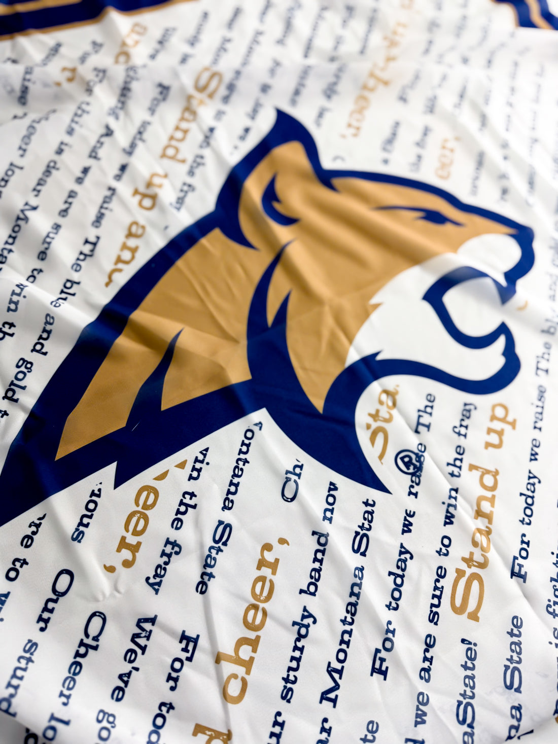 Montana State University | Scarf