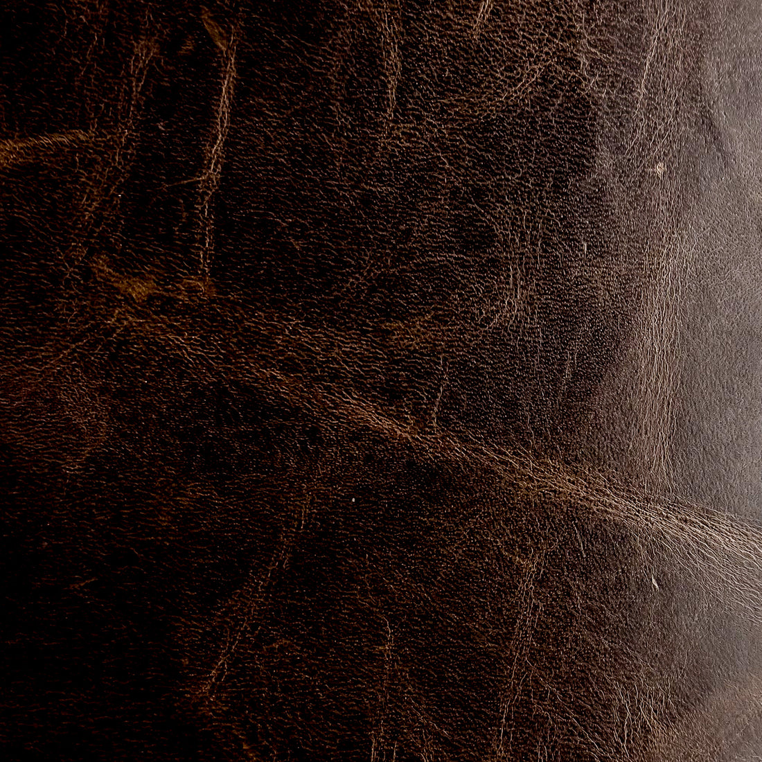 CUSTOM LEATHER SAMPLES