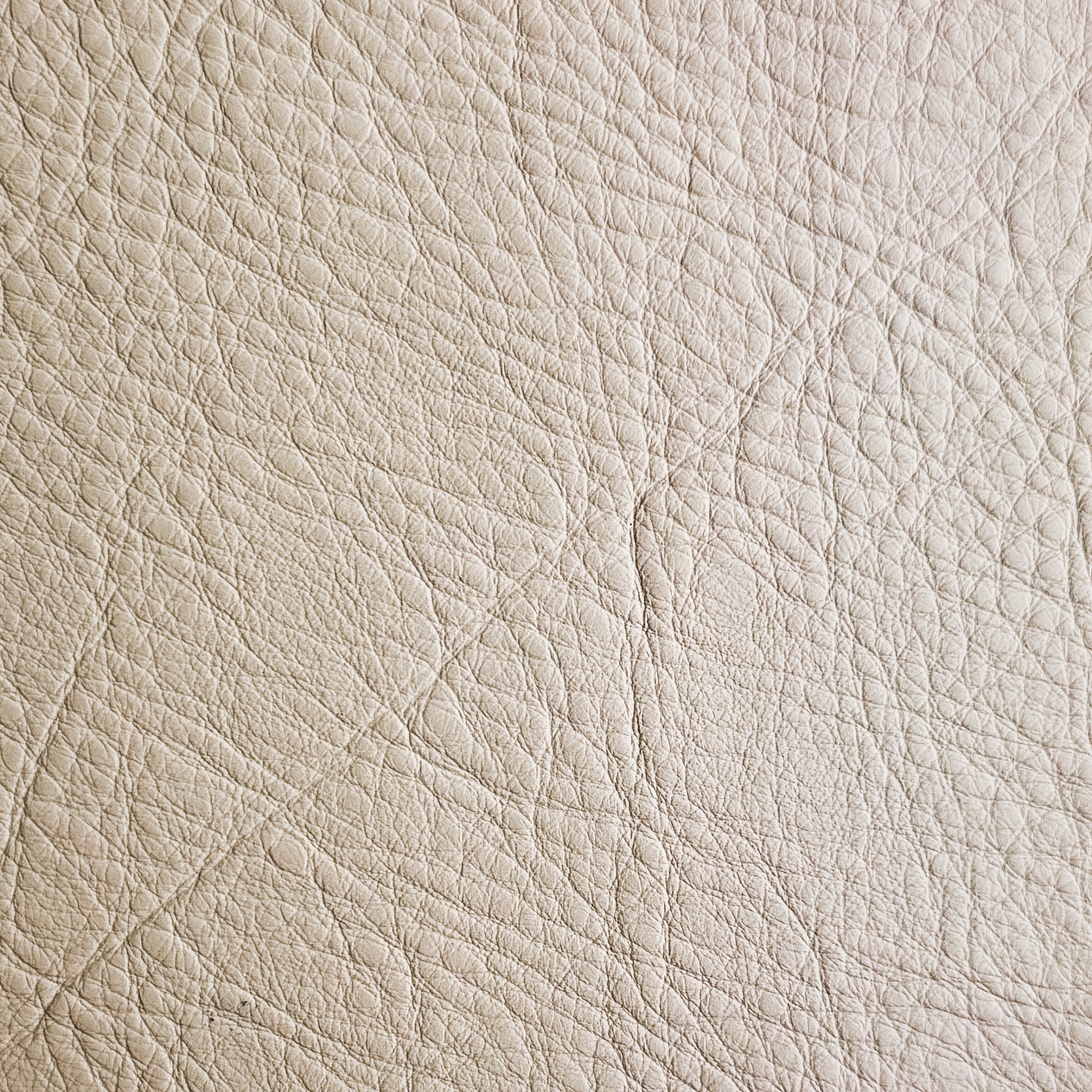 CUSTOM LEATHER SAMPLES