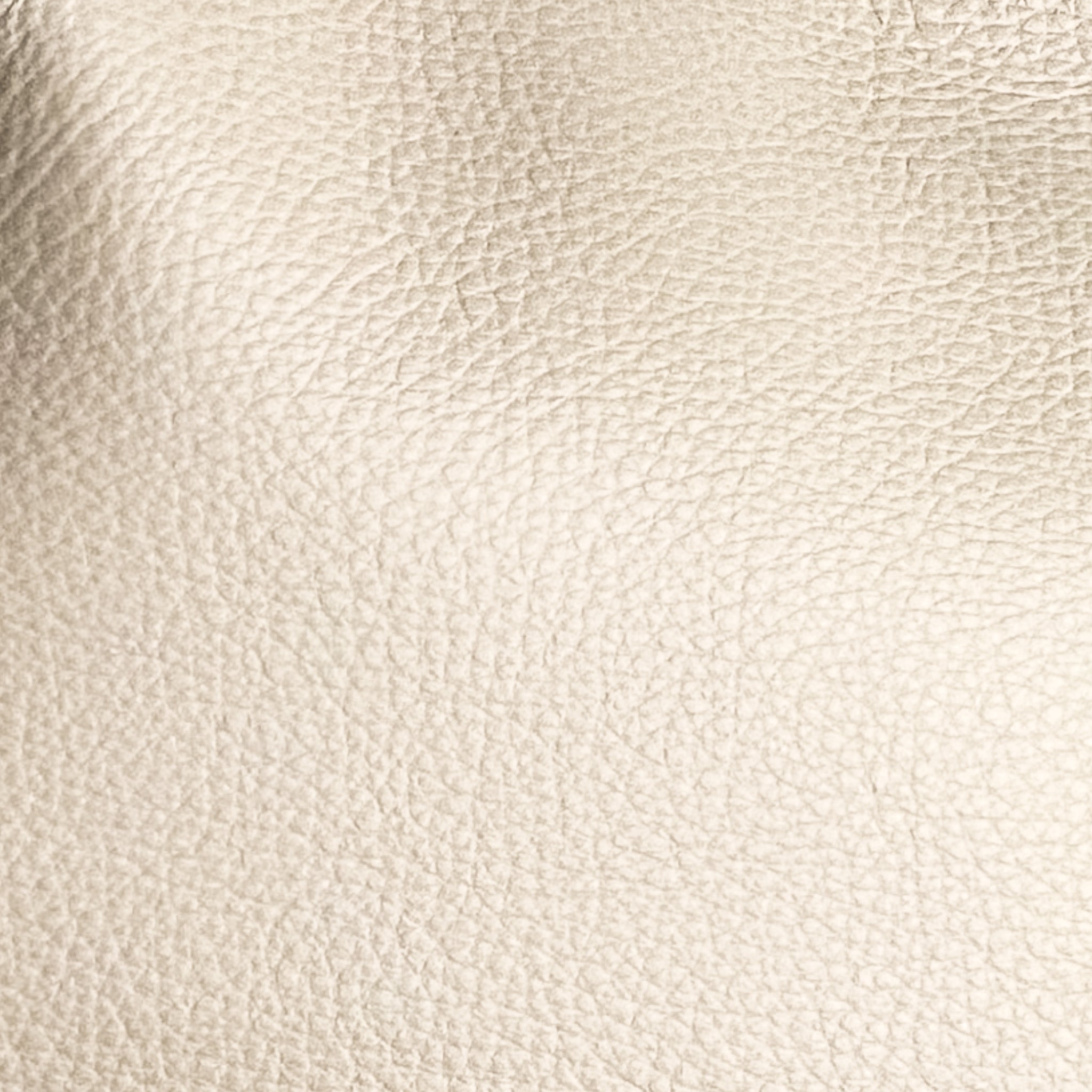 CUSTOM LEATHER SAMPLES