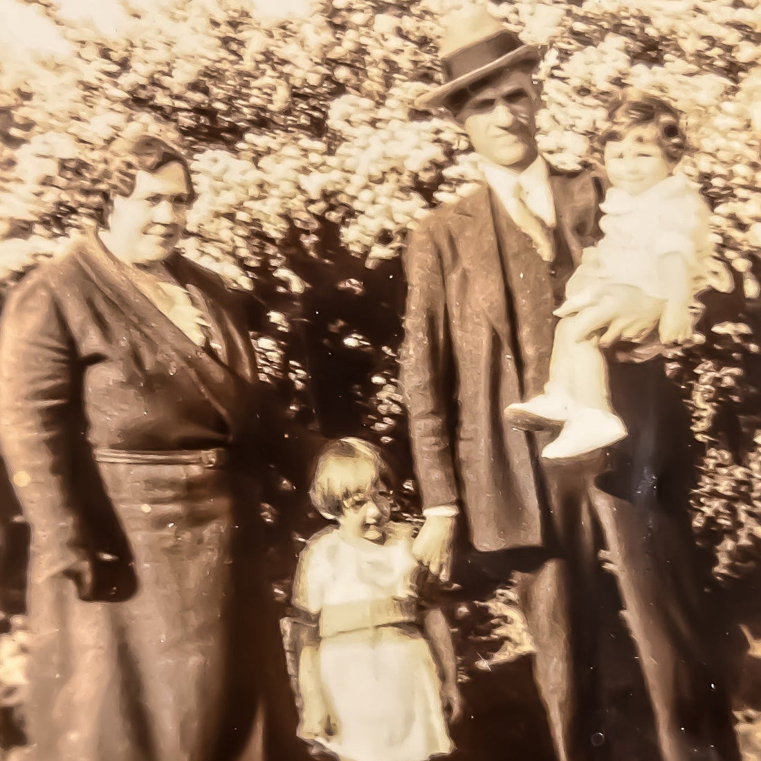 Custom Collection | Dolly Satchel